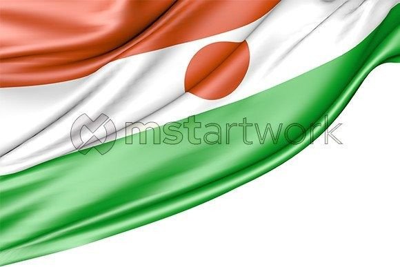 Evaluating the Niger Flag Isolated on White Background for Digital and Print Projects